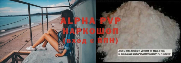 a pvp Магас