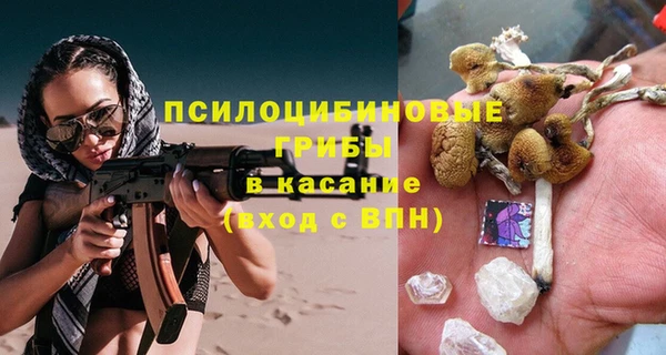 a pvp Магас