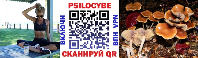 Галлюциногенные грибы мухоморы  цены   Новоаннинский 